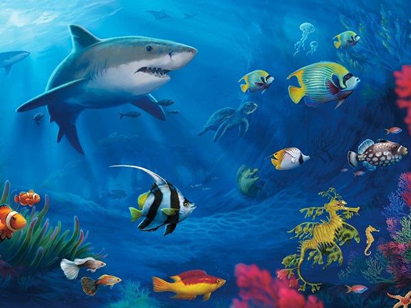 【贝趣坊】《海底世界1》