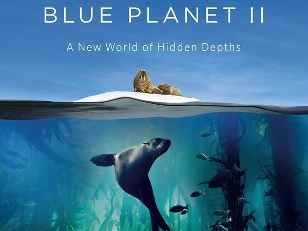 影赏-纪录片《蓝色星球2》 第5集