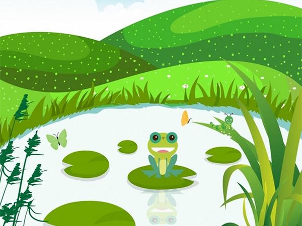 【贝趣坊】小青蛙找妈妈