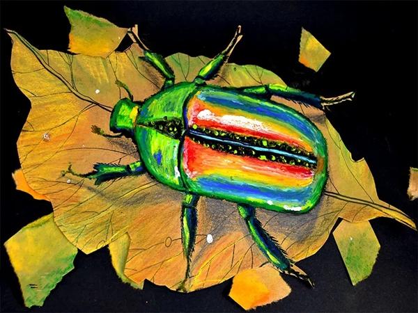 【童乐绘】油画棒昆虫