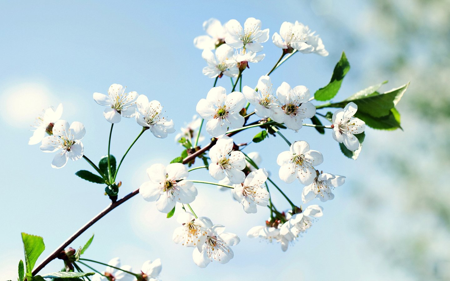 【嘉文大课堂2018秋季】成人古典韵舞瑜伽